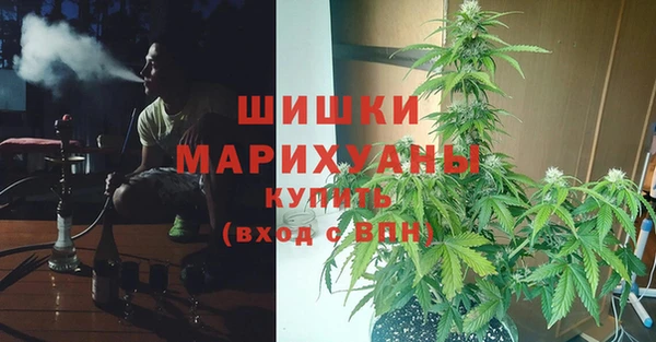 гидра Алзамай